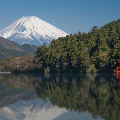 Circuit au Japon : Repos Luxueux au Japon